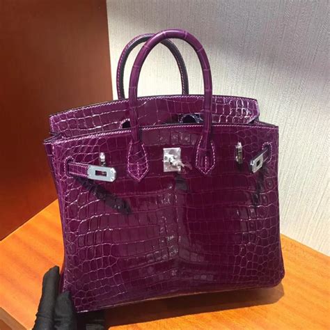 hermes birkin 25 purple|hermes birkin 25 price.